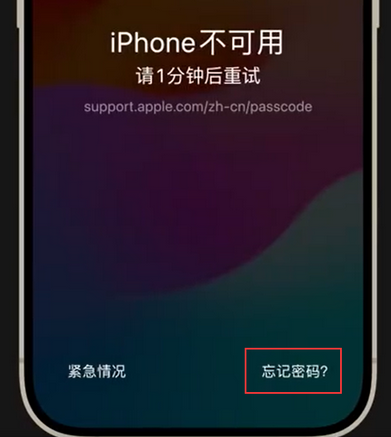 上街苹果手机密码维修分享iPhone忘记了刚设置的密码 