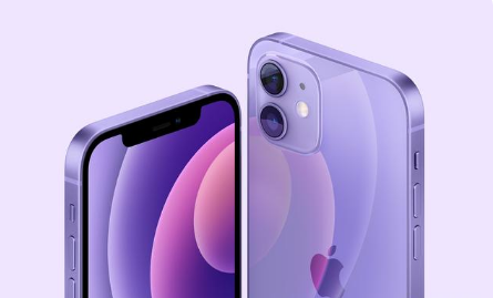 上街苹果手机维修分享紫色版iPhone 12有什么技术亮点 